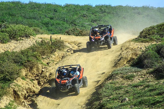 Beach & Desert Premium X3 UTV Tour in Cabo (Price per Person) - Tour Highlights