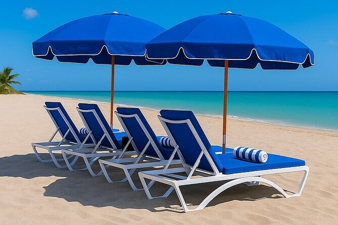 Beach Equipment Rentals - In-Depth: The Equipment and Service Experience