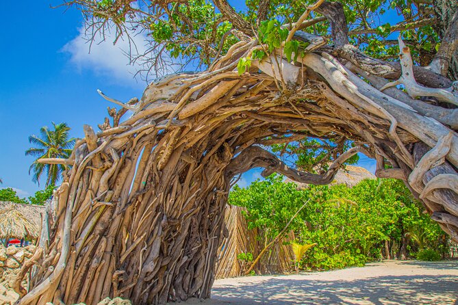 Beach Front Disconnection (Yoga, Meditation & Massage Included.) - Location and Meeting Point