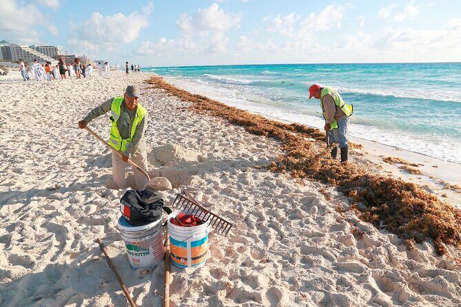 Beach Guardians Clean up & Picnic plus Otoch Mayan Experience - A Closer Look at the Itinerary and Experience