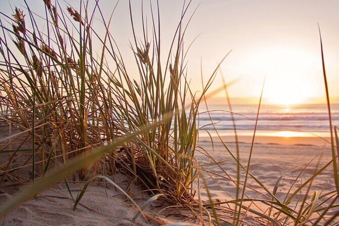 Beach Guardians Clean up & Picnic plus Otoch Mayan Experience - The Sum Up: Who Will Love This Tour?