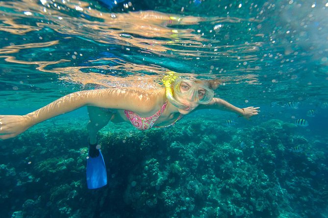 Beach Hopper Snorkeling Tour in Los Cabos - Tour Details