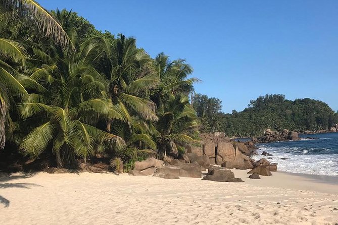 Beach Hopping Tour on Mahe Seychelles - Traveler Recommendations