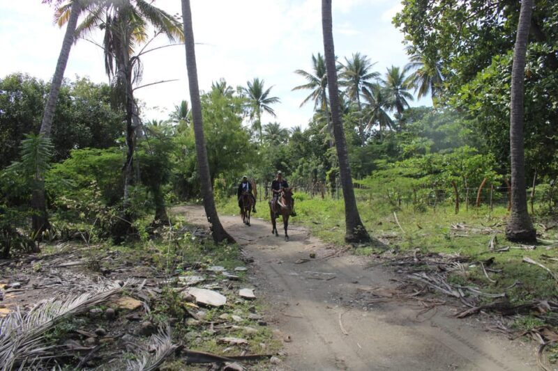 Beach horse back riding with countryside - Analyzing the Value: Price, Experience, and Satisfaction