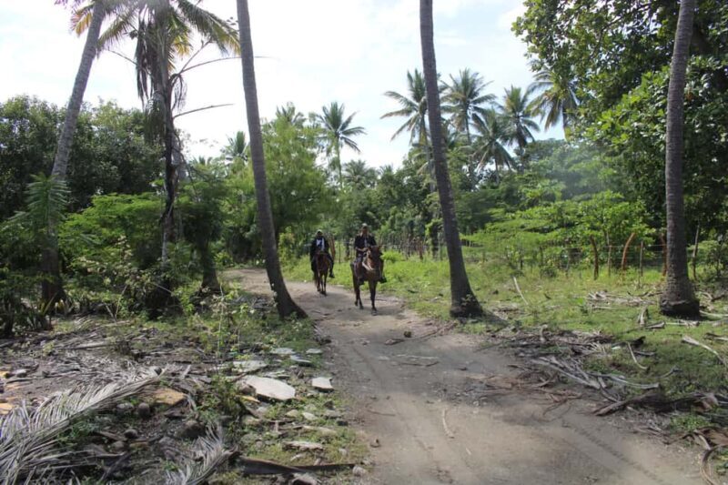 Beach horse back riding with countryside - Final Thoughts: Is This Tour Right for You?