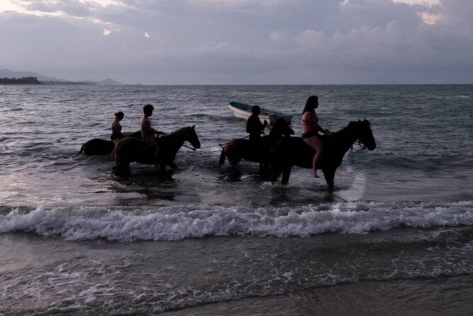 Beach Horse Ride and Countryside Amber Cove & Taino Bay - Beach Horse Ride Details