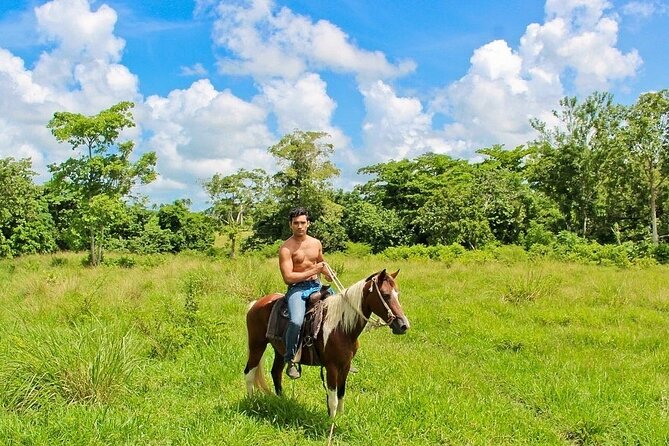 Beach Horse Ride Punta Cana - El Limon & La Sabana De Nisibon - Itinerary Overview