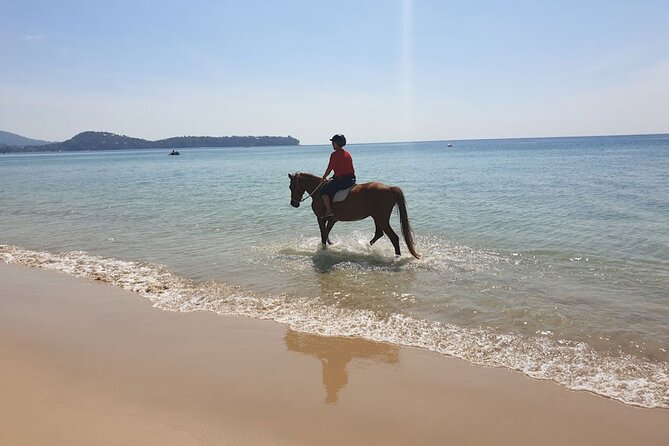Beach Horse Riding Activity in Phuket - Safety Measures and Equipment