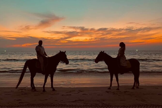 Beach Horse Riding At Sunset In Phuket - Customer Reviews and Ratings