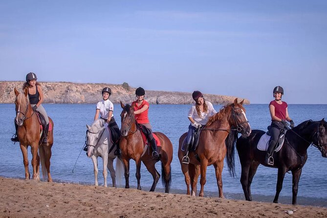 Beach Horse Riding From Sharm El Sheikh - Good To Know