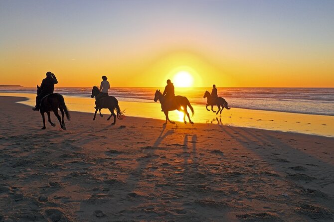 Beach Horse Riding From Sharm El Sheikh - Pickup Information and Details