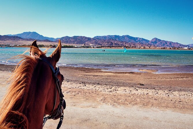 Beach Horse Riding From Sharm El Sheikh - Horse Riding Duration Options