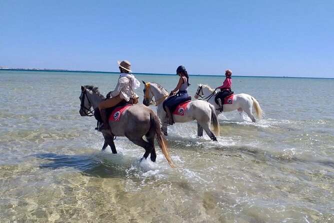 Beach Horse Riding From Sharm El Sheikh - Additional Pickup Options Available