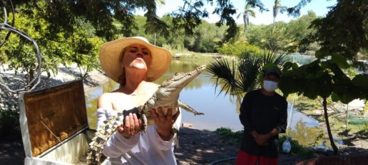 .Beach Horse Riding Turtle Release Crocodile Farm Experience - Booking Details