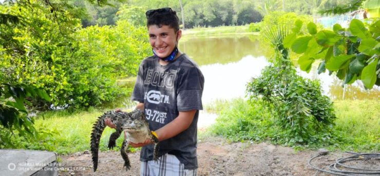 .Beach Horse Riding Turtle Release Crocodile Farm Experience - Experience Highlights
