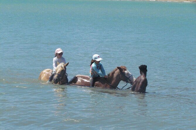 Beach Horseback Ride Tour in Puerto Plata - Scenic & Fun for All - The Sum Up