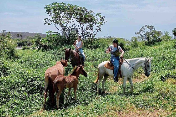 Beach Horseback Riding Adventure in Copalita, Huatulco - Practical Details & Logistics