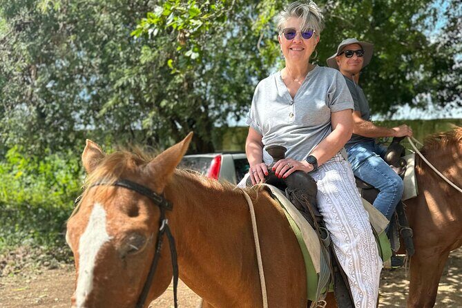 Beach Horseback Riding Adventure in Punta Cana - A Deep Dive into the Punta Cana Beach Horseback Riding Tour
