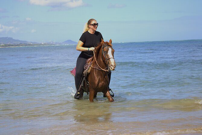 Beach Horseback Riding and Swim Horse in Puerto Plata - Good To Know