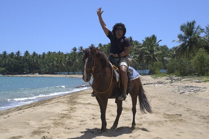 Beach Horseback Riding and Swim Horse in Puerto Plata - The Value Proposition