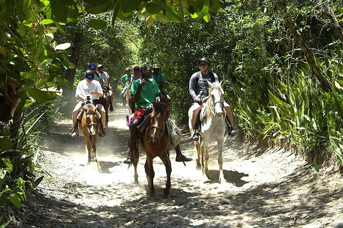 Beach Horseback Riding and Swim Horse in Puerto Plata - The Sum Up
