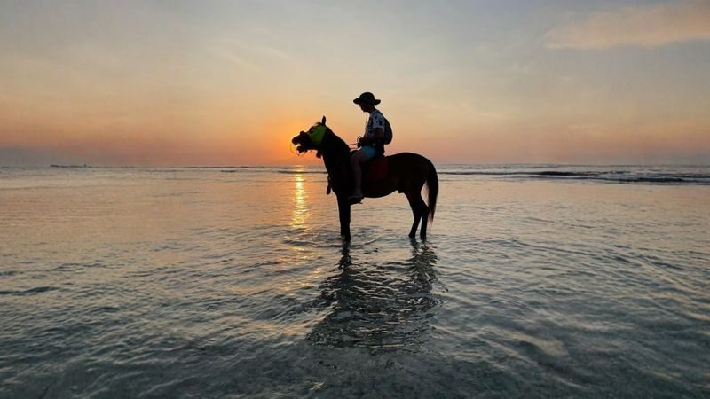 Beach Horseback Riding Experience in Gili Islands Lombok - Which island and package should you choose?