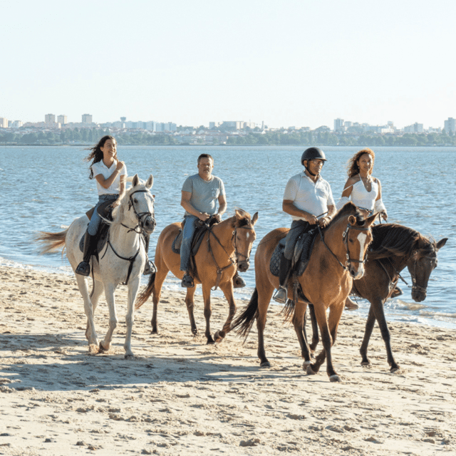 Beach Horseback Riding in GROUP + Photo Report - PDT - The Environment and Atmosphere