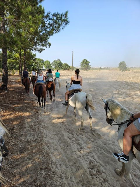 Beach Horseback Riding in Group - Experience Highlights
