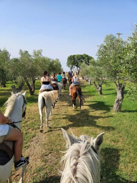 Beach Horseback Riding in Group - Customer Review