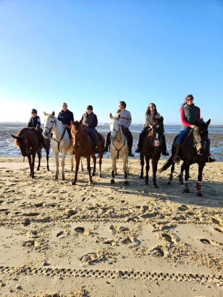 Beach Horseback Riding in Group - Meeting Point