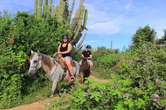 Beach Horseback Riding in Los Cabos - An In-Depth Look at the Beach Horseback Riding Experience