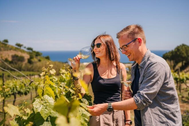 Beach Ride to the Vineyards and Wine Tasting From Barcelona - Guided Tour Information