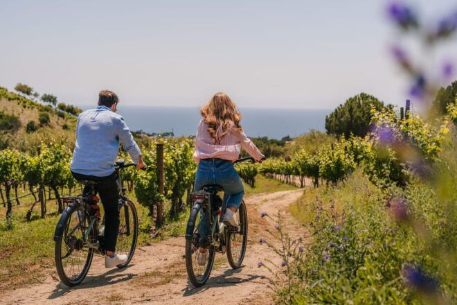 Beach Ride to the Vineyards and Wine Tasting From Barcelona - Important Considerations