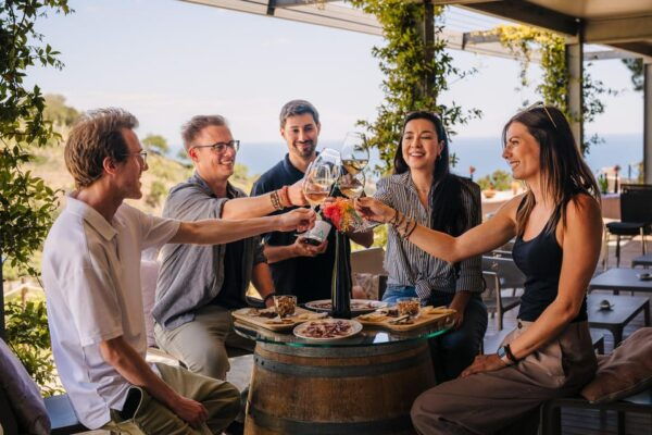 Beach Ride to the Vineyards and Wine Tasting From Barcelona - Guided Winery Tour