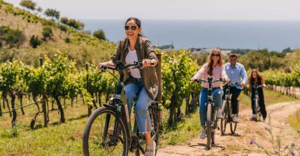 Beach Ride to the Vineyards and Wine Tasting From Barcelona - Wine Tasting and Pairing