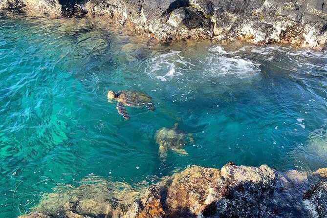 Beach Snorkel - Sea Turtle and Black Sand Lagoon - Snorkel Gear and Guide