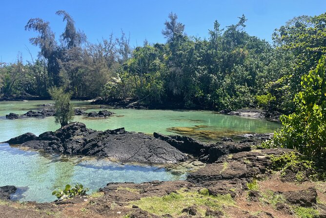 Beach Snorkel - Sea Turtle and Black Sand Lagoon - Cancellation Policy