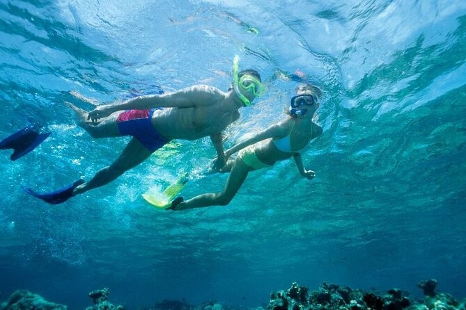 Beach Snorkeling Adventure in Lauderdale by the Sea - Booking Details