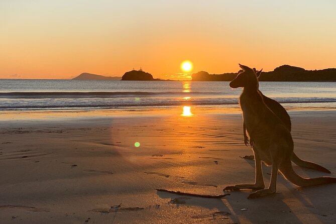 Beach Sunrise With the Wallabies - Cancellation Policy