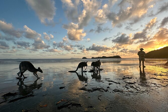 Beach Sunrise With the Wallabies - Additional Information