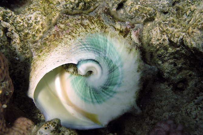 Beach Time Out in Sharm El Naga - Additional Information for Visitors