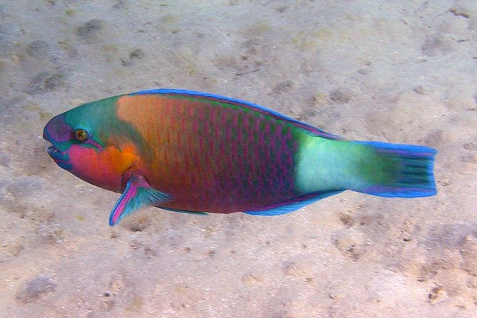 Beach Time Out in Sharm El Naga - Convenient Transportation Options