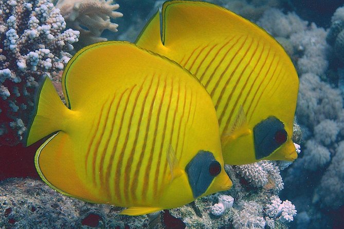 Beach Time Out in Sharm El Naga - Easy Booking Process