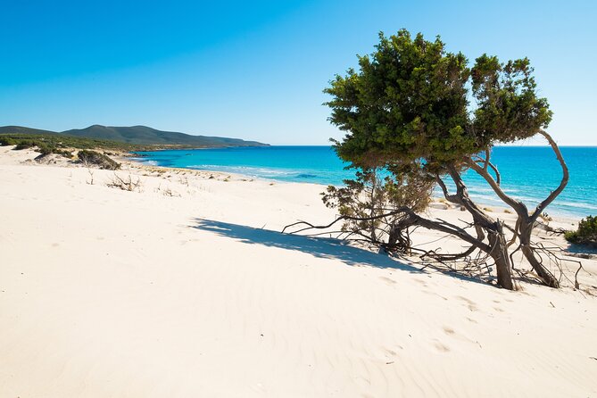 Beach Tour Porto Pino and Piscinnì - Visual Content and Inspiration