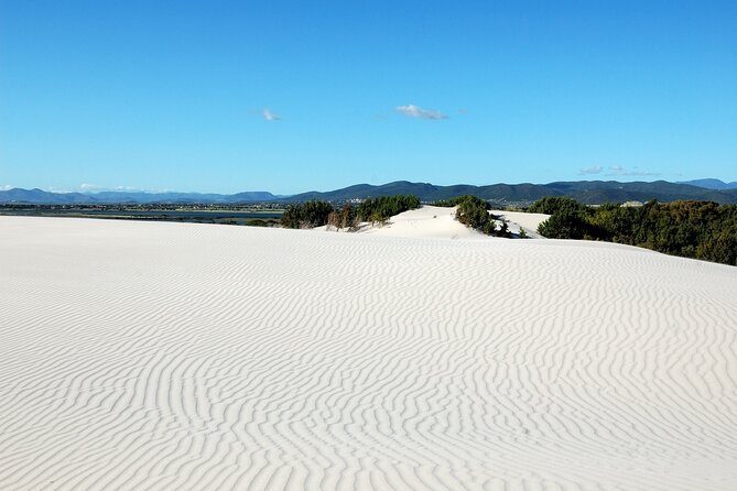 Beach Tour Porto Pino and Piscinnì - Terms and Conditions for a Smooth Experience