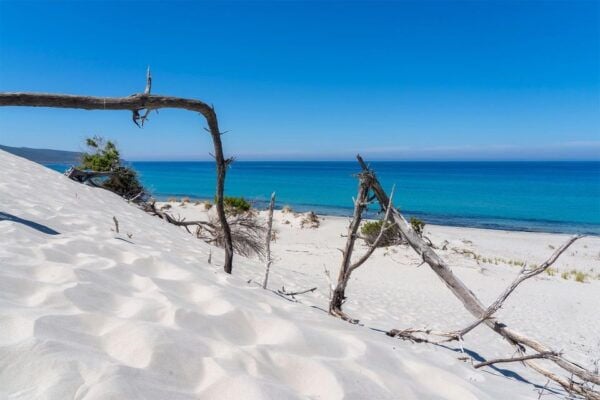 Beach Tour Porto Pino & Piscinnì From Cagliari - Frequently Asked Questions