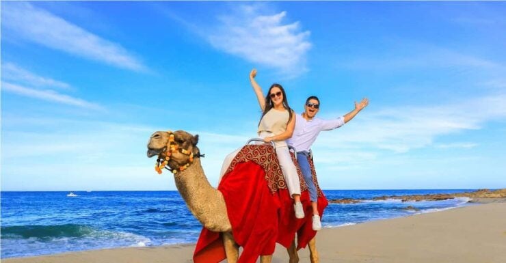 Beach UTV & Camel Ride COMBO in Cabo by Cactus Tours Park - Itinerary and Activities