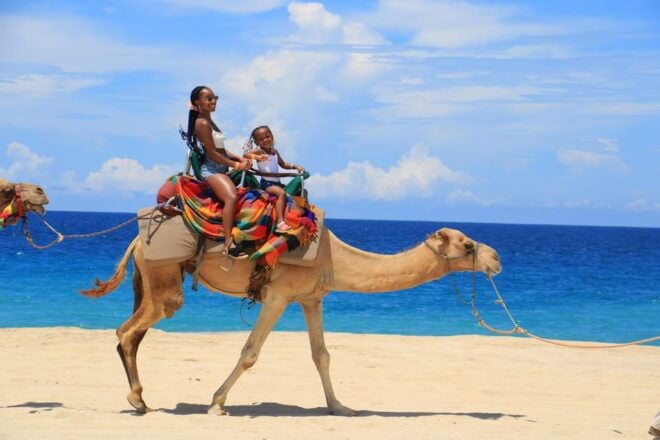 Beach UTV & Camel Ride COMBO in Cabo by Cactus Tours Park - Important Information