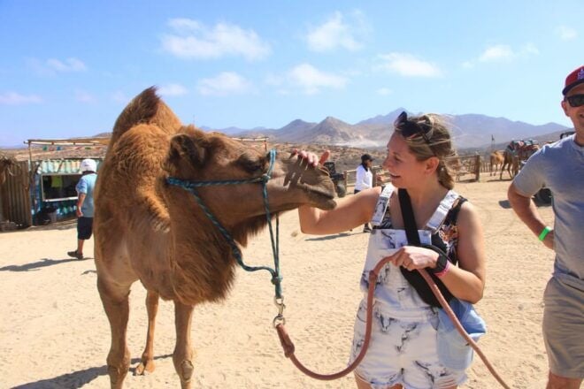Beach UTV & Camel Ride COMBO in Cabo by Cactus Tours Park - Transportation and Pickup
