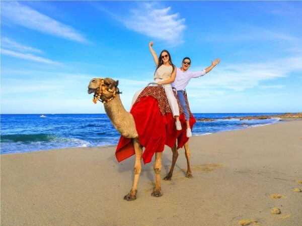 Beach UTV & Camel Ride COMBO in Cabo by Cactus Tours Park - Safety and Equipment